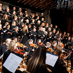 Stephansdom: Österreich nahm Abschied von Papst Franziskus