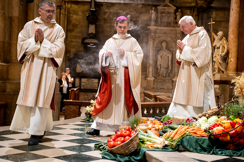 Transitusfeier 800 Jahre Franzisku / Erzdiözese Wien/ Schönlaub, Stephan Schönlaub Transitusfeier 800 Jahre Franzisku