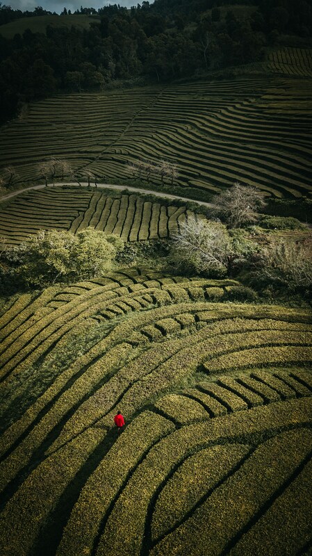 Azoren Landschaft Labyrinth