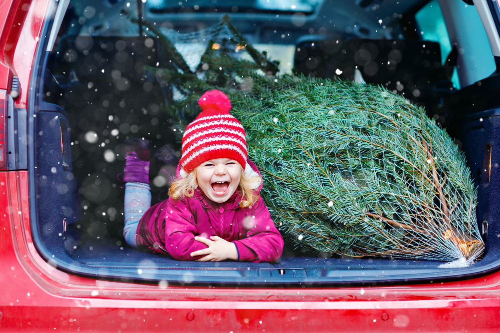 Mädchen mit frisch gekauftem Christbaum im Auto. 